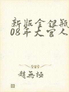 新版金银瓶2008年大官人