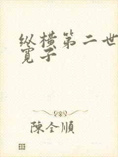 纵横第二世界 宽子