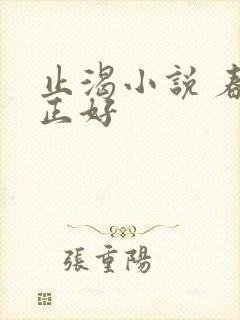 止渴小说 春光正好封面