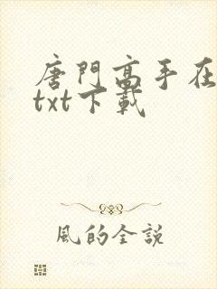 唐门高手在异世txt下载