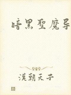暗黑圣魔导