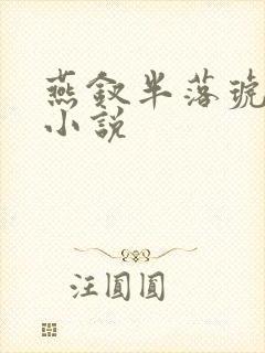 燕钗半落琥珀糖小说