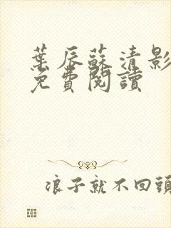 叶辰苏清影全文免费阅读封面