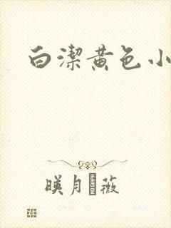 白洁黄色小说