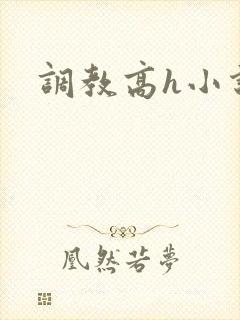 调教高h小说封面