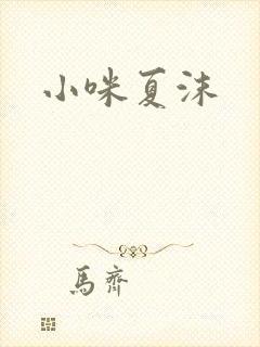 小咪夏沫封面
