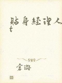 贴身经理人txt
