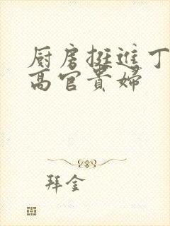 厨房挺进丁字裤高官贵妇封面