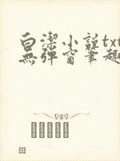 白洁小说txt无弹窗笔趣阁封面