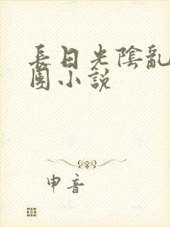 长日光阴乱作一团小说