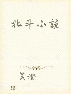 北斗小说