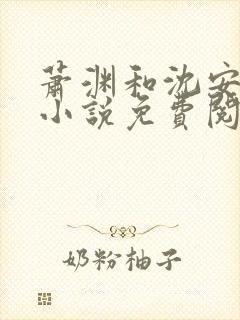 萧渊和沈安安的小说免费阅读封面