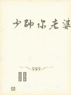 少帅你老婆封面