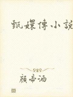 甄嬛传小说