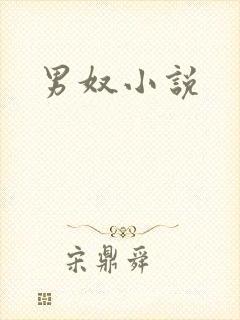 男奴小说
