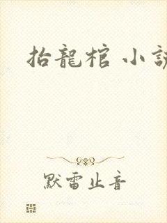 抬龙棺 小说
