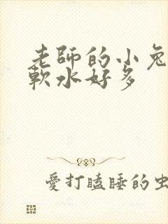 老师的小兔子好软水好多