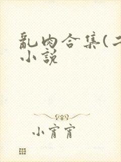乱肉合集(二)小说