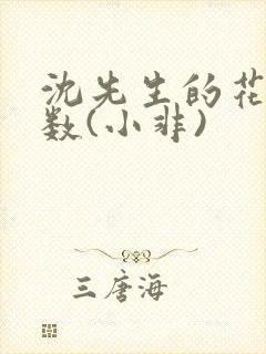 沈先生的花式调数(小非)