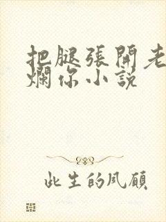 把腿张开老子臊烂你小说封面