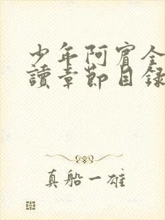 少年阿宾全文阅读章节目录