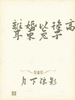 离婚以后高干 耳东兔子
