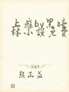 上瘾by黑暗森林小说免费封面