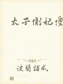 太子侧妃傻乎乎