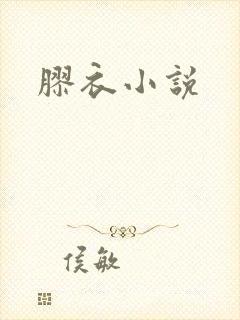 胶衣小说封面