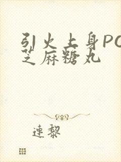 引火上身POP芝麻糖丸