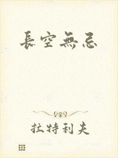 长空无忌封面