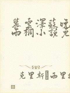 慕云泽苏晚晴夏雨桐小说免费阅读
