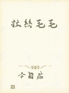 拉丝毛毛