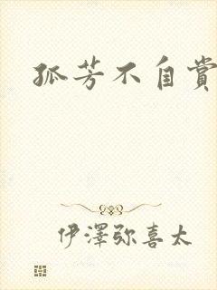 孤芳不自赏小说
