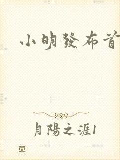 小明发布首页