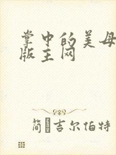 掌中的美母第一版主网