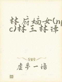林府嫡女(npc)林玉林璋