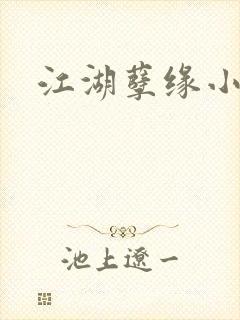 江湖孽缘小说封面
