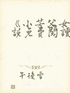 《小芳父女》小说免费阅读