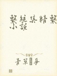 系统集精系统 小说
