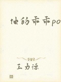 他的乖乖pop封面