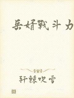 岳婿战斗力