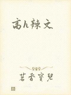 高h辣文