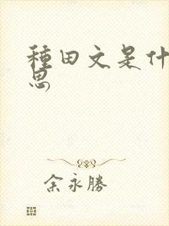 种田文是什么意思封面