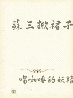 苏三掀裙子封面
