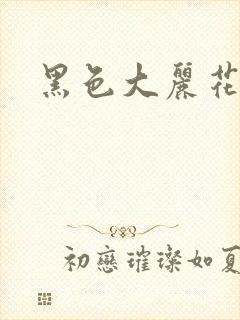 黑色大丽花图片