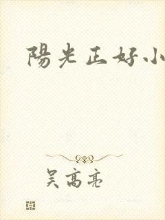 阳光正好小说