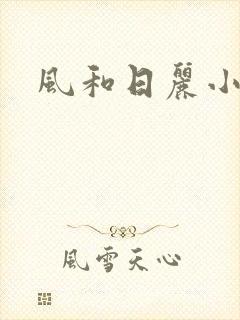 风和日丽小说封面