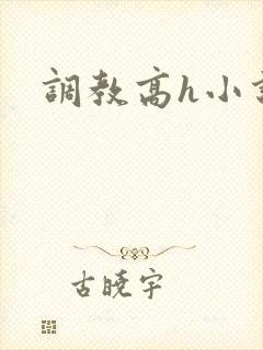 调教高h小说封面