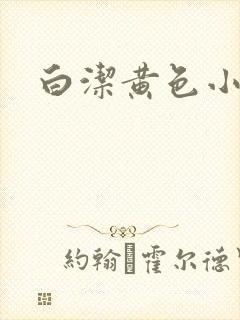 白洁黄色小说封面